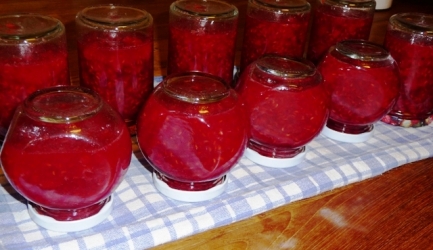 148   Frambozenjam